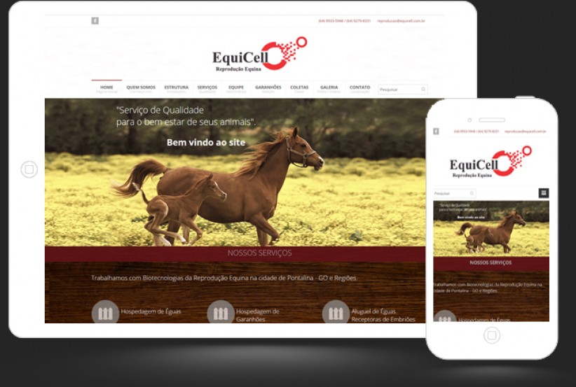 websites - Criação do site da Equicell Reprodução Equina
